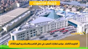 القائمة الكاملة.. مواعيد قطارات الصعيد على خطي القاهرة والإسكندرية اليوم الثلاثاء